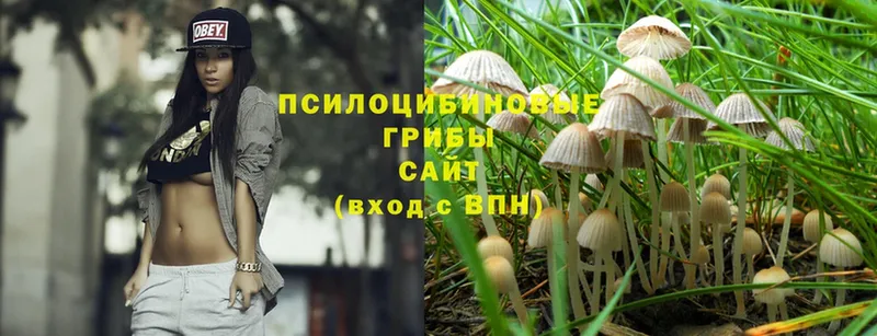 Галлюциногенные грибы Cubensis  hydra как войти  Ишимбай  купить наркоту 